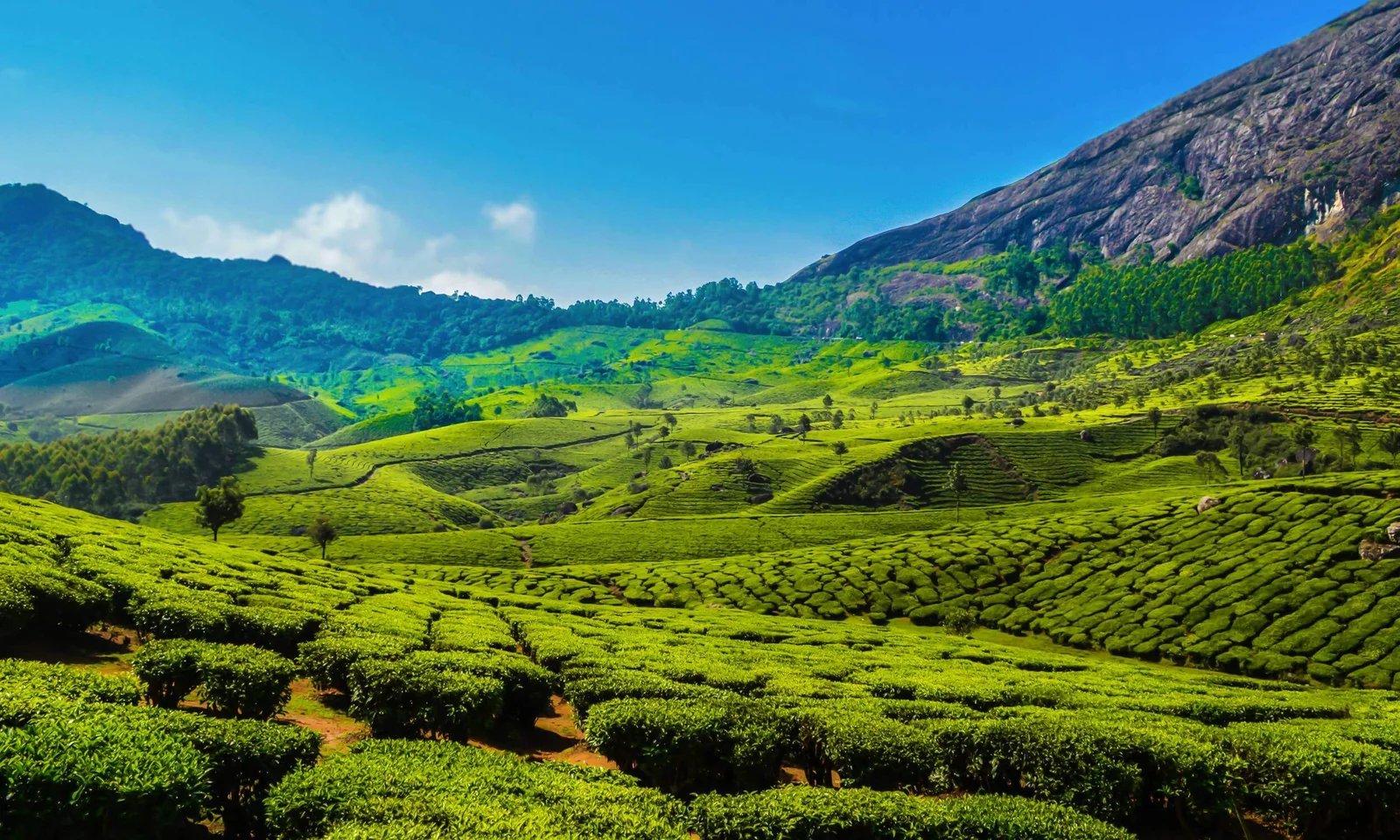 Best of Kerala