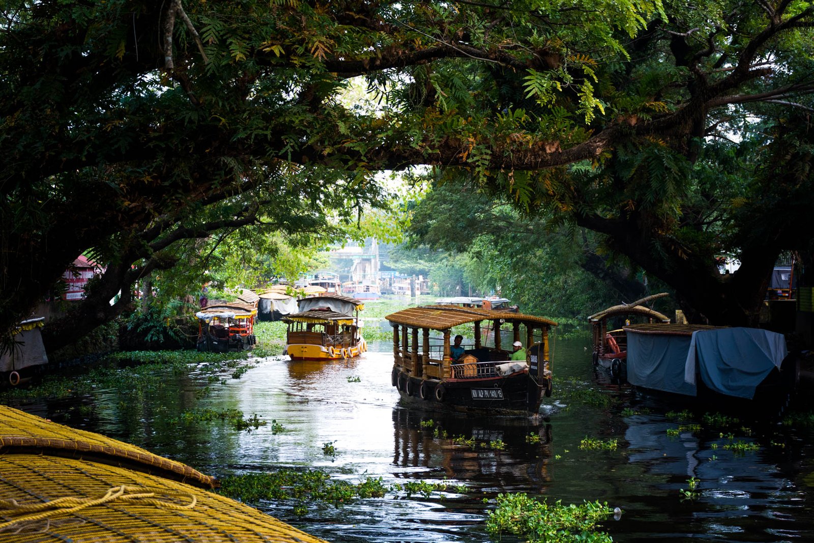 Kerala Honeymoon Package