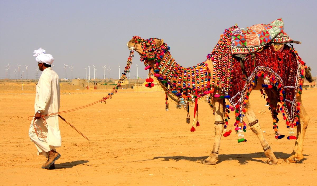 Rajasthan Desert Safari